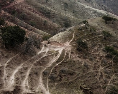 Zdjęcie - Oprowadzanie po wystawie „Wspólnie. 20 lat kolektywu Sputnik Photos”
